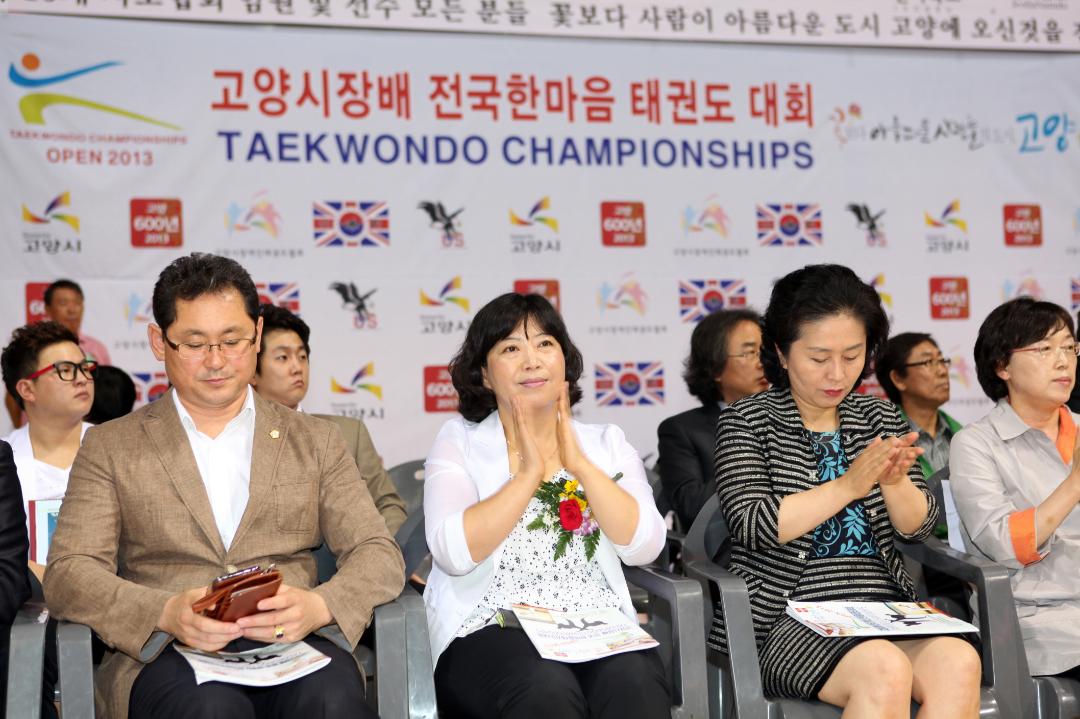 [6대] 2013 고양시장배 전국장애인 한마음 태권도대회 (2013.07.13)